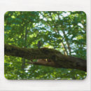 Search for forest mousepads Green