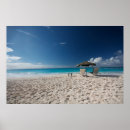 Search for anguilla posters Sea
