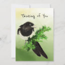 Search for curious cards Nature