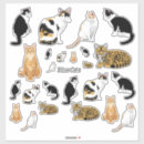 Search for tiger design stickers Cat