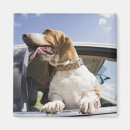 Search for dog car magnets Horizontal
