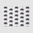 Search for beetle tissue paper Entomology