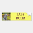 Search for labrador bumper stickers Dog