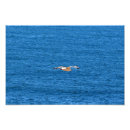 Search for point art Beach