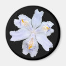 Search for iris magnets Flora