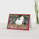 Search for cockerel cards Chicken