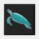 Search for sea turtle magnets Background