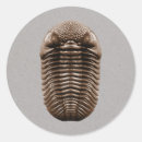 Search for paleontologist stickers Dinosaur