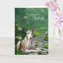 Search for greyhound memorial Dogs