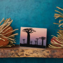 Search for morondava Madagascar