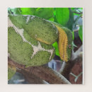 Search for snake puzzles Boa