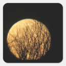 Search for moon tree stickers Spooky