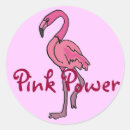 Search for cartoon flamingo stickers Funny