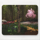 Search for cherry tree mousepads Blossoms