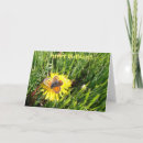Search for summer flower birthday cards Butterfly