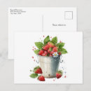 Search for picking postcards Summer