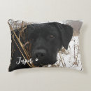 Search for black lab cushions Cute dog