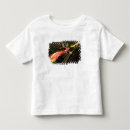 Search for red corvette tshirts North america