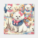 Search for bichons magnets Pets