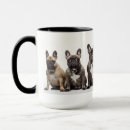 Search for black frenchie mugs Pet