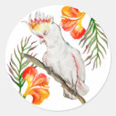 Search for funny parrot stickers Cute