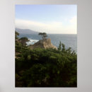 Search for monterey posters Tree