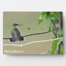 Search for honey bee plaques Bees