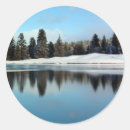 Search for reflections stickers Trees