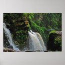 Search for rainforest posters Amazon