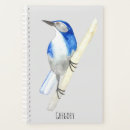 Search for backyard office supplies Birding