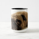 Search for adorable pug mugs Puppy