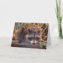 Search for funny raccoon birthday cards Friend