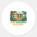 Search for hang in there stickers Alpaca