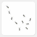 Search for cute ant stickers Funny