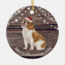 Search for english bulldog christmas tree decorations Animal