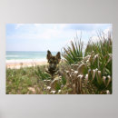 Search for shepherds posters Puppy