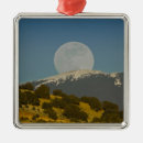 Search for mexico christmas tree decorations Scenic