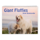 Search for newfoundland calendars Dogs