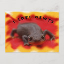 Search for lovely postcards Nature