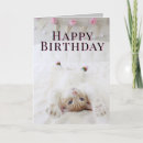 Search for sock cards Pink