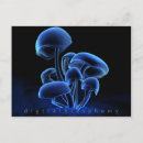 Search for fluorescence postcards Glowing