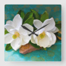Search for magnolia clocks Bouquet