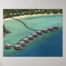 Search for fiji island posters Aqua