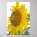 Search for macro art Botanical