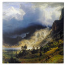 Search for storm tiles Landscape