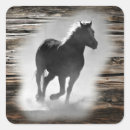 Search for galloping horse stickers Wild horses