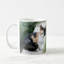 Search for phantom mugs Cats