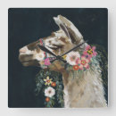 Search for llama clocks Animals
