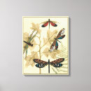 Search for float canvas prints Nature