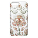 Search for ernst haeckel iphone cases Jellyfish